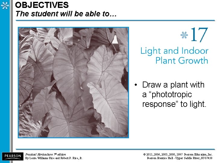 OBJECTIVES The student will be able to… • Draw a plant with a “phototropic