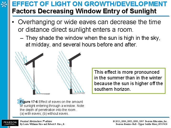 EFFECT OF LIGHT ON GROWTH/DEVELOPMENT Factors Decreasing Window Entry of Sunlight • Overhanging or