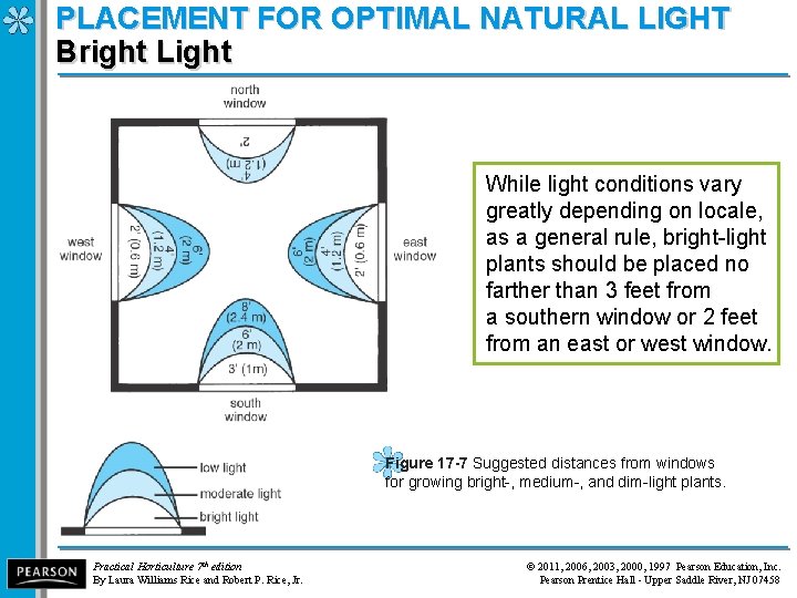 PLACEMENT FOR OPTIMAL NATURAL LIGHT Bright Light While light conditions vary greatly depending on