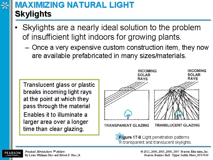 MAXIMIZING NATURAL LIGHT Skylights • Skylights are a nearly ideal solution to the problem
