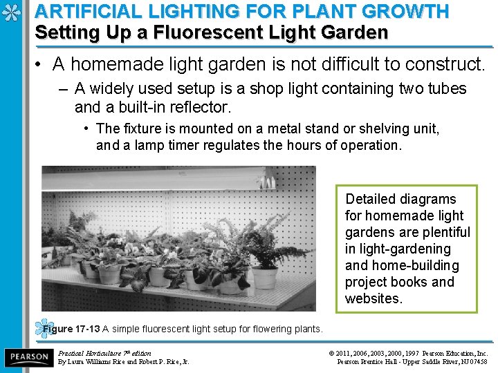 ARTIFICIAL LIGHTING FOR PLANT GROWTH Setting Up a Fluorescent Light Garden • A homemade