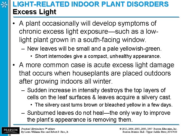 LIGHT-RELATED INDOOR PLANT DISORDERS Excess Light • A plant occasionally will develop symptoms of