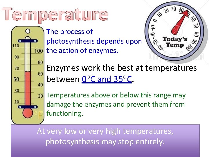 Temperature The process of photosynthesis depends upon the action of enzymes. Enzymes work the