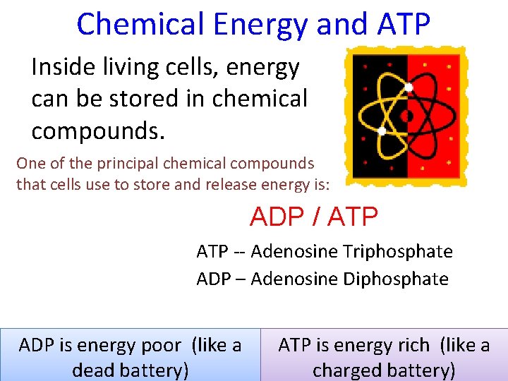 Chemical Energy and ATP Inside living cells, energy can be stored in chemical compounds.