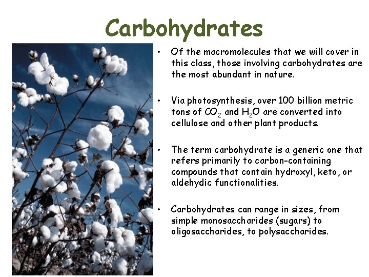 Carbohydrates • Of the macromolecules that we will cover in this class, those involving