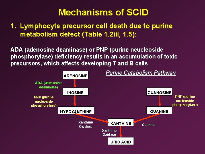 Mechanisms of SCID 1. Lymphocyte precursor cell death due to purine metabolism defect (Table