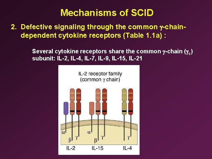 Mechanisms of SCID 2. Defective signaling through the common g-chaindependent cytokine receptors (Table 1.