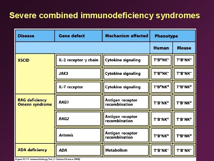 Severe combined immunodeficiency syndromes 