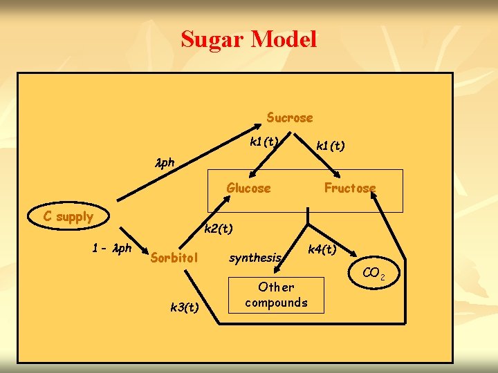 Sugar Model Sucrose k 1(t) ph Glucose C supply 1 - ph Fructose k