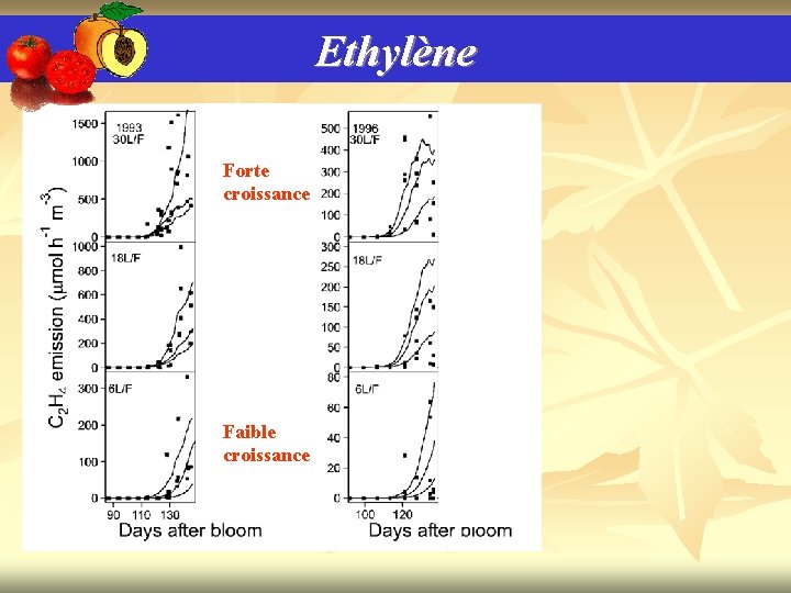 Ethylène Forte croissance Faible croissance 