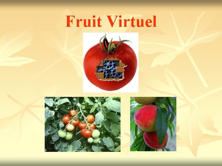 Fruit Virtuel 