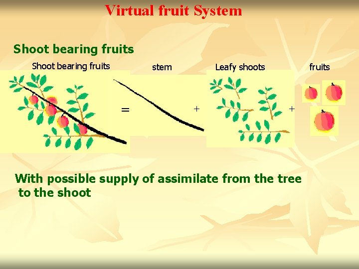 Virtual fruit System Shoot bearing fruits Leafy shoots stem = + fruits + With