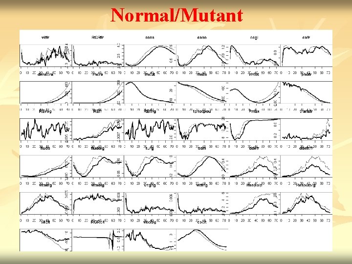 Normal/Mutant 