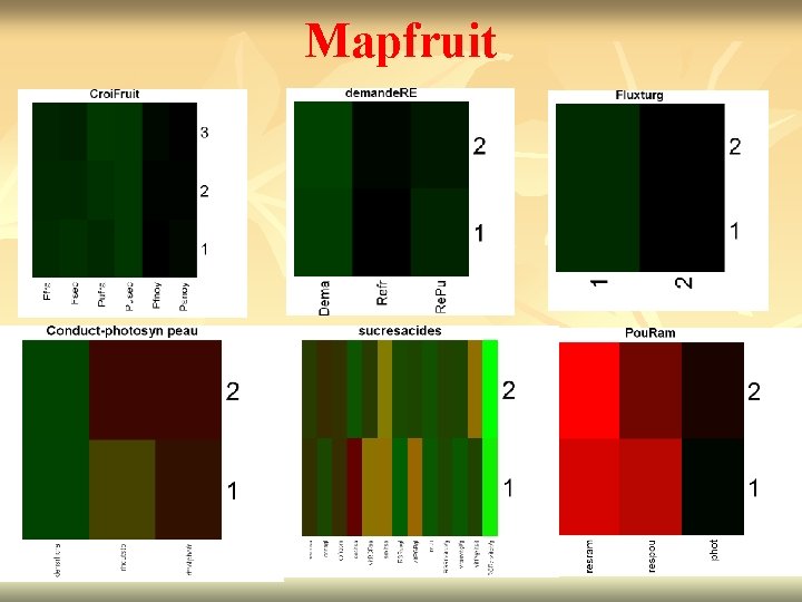 Mapfruit 