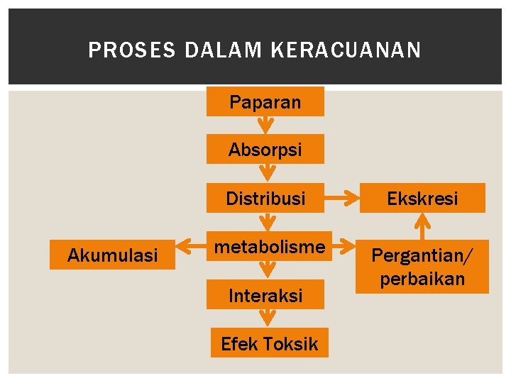 PROSES DALAM KERACUANAN Paparan Absorpsi Akumulasi Distribusi Ekskresi metabolisme Pergantian/ perbaikan Interaksi Efek Toksik