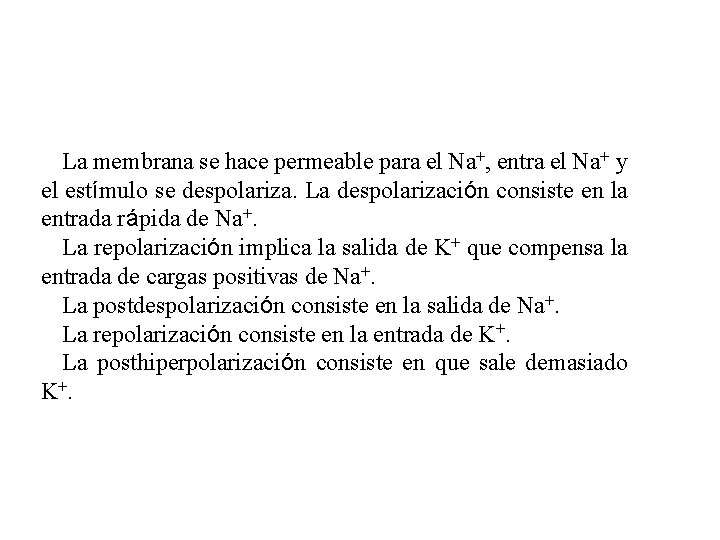 La membrana se hace permeable para el Na+, entra el Na+ y el estímulo