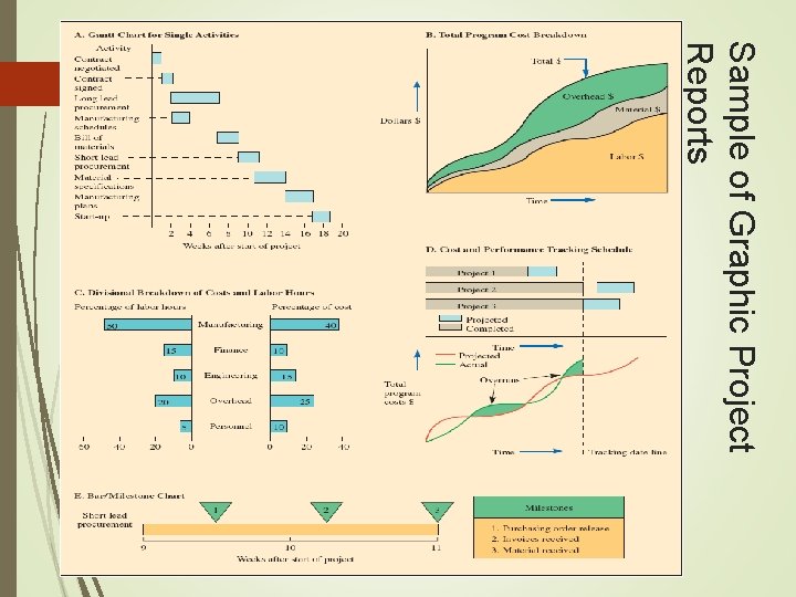 Sample of Graphic Project Reports 