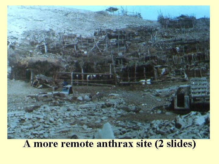 A more remote anthrax site (2 slides) 