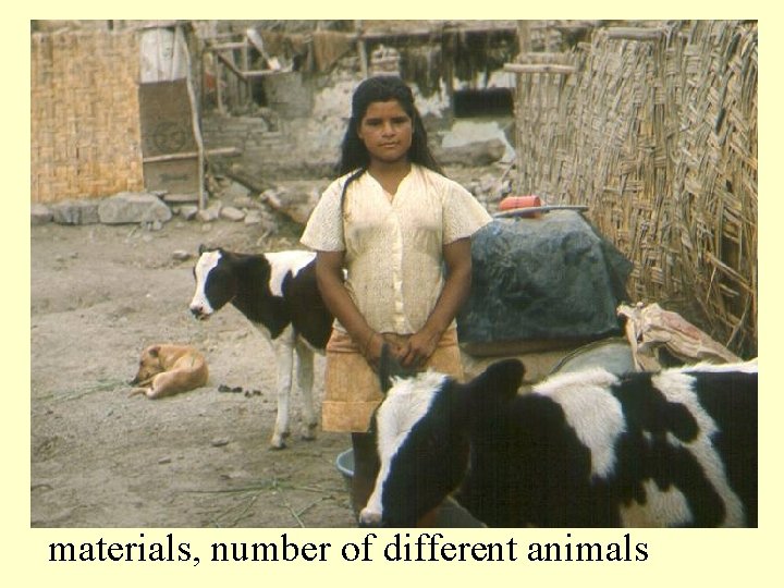 A typical cowgirl. Notice building materials, number of different animals 