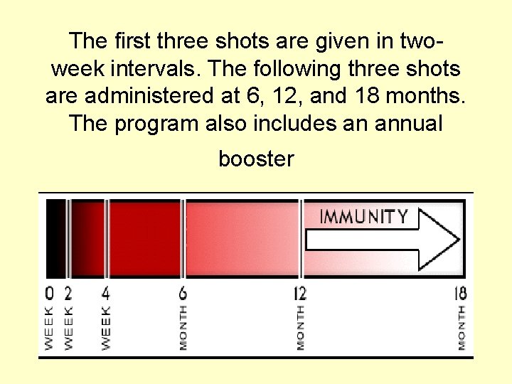 The first three shots are given in twoweek intervals. The following three shots are