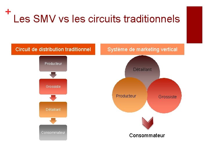 + Les SMV vs les circuits traditionnels Circuit de distribution traditionnel Système de marketing