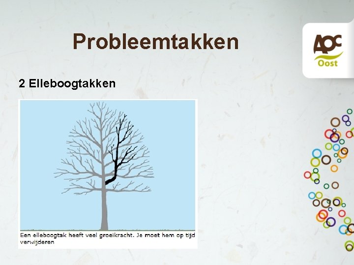 Probleemtakken 2 Elleboogtakken 