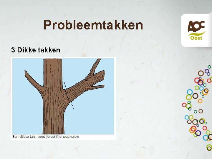 Probleemtakken 3 Dikke takken 