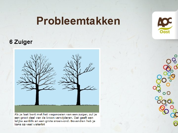 Probleemtakken 6 Zuiger 