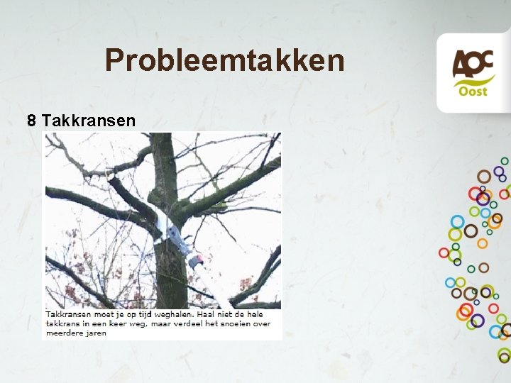 Probleemtakken 8 Takkransen 