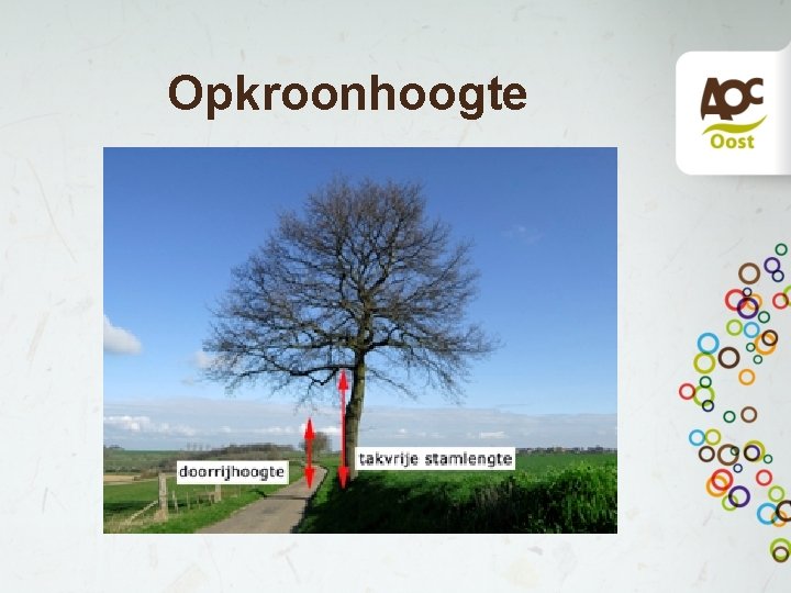 Opkroonhoogte 