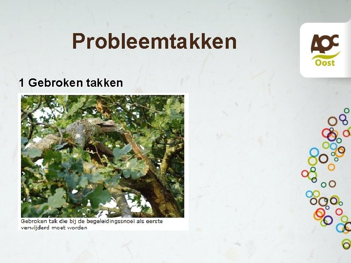 Probleemtakken 1 Gebroken takken 