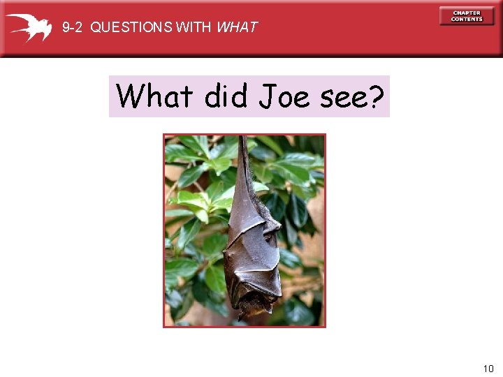 9 -2 QUESTIONS WITH WHAT What did Joe see? 10 