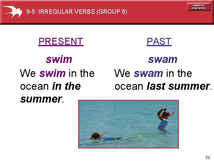 9 -5 IRREGULAR VERBS (GROUP 6) PRESENT swim We swim in the ocean in