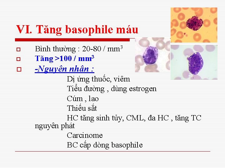 VI. Tăng basophile máu o Bình thường : 20 -80 / mm 3 Tăng