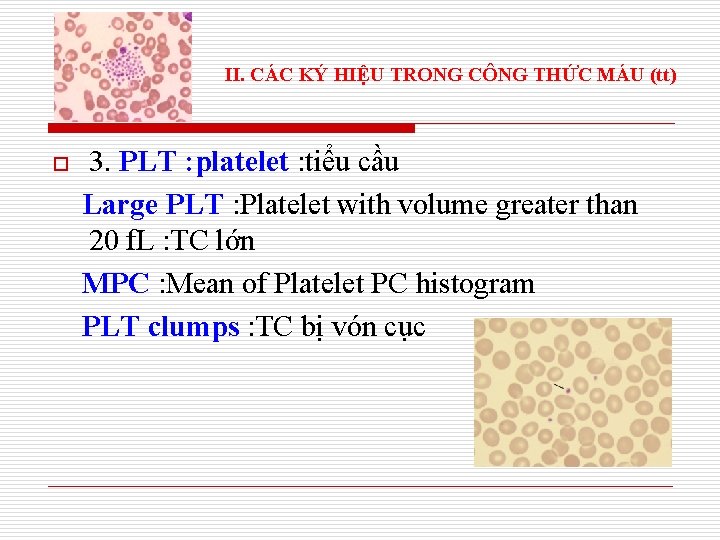 II. CÁC KÝ HIỆU TRONG CÔNG THỨC MÁU (tt) o 3. PLT : platelet