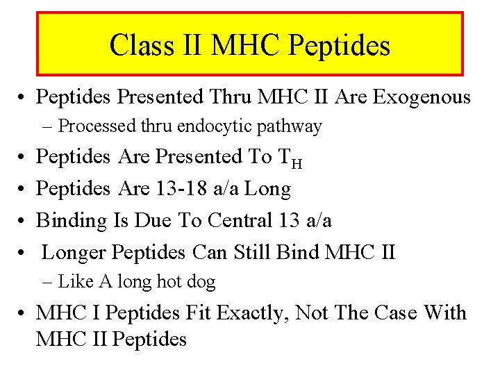 Class II MHC Peptides • Peptides Presented Thru MHC II Are Exogenous – Processed