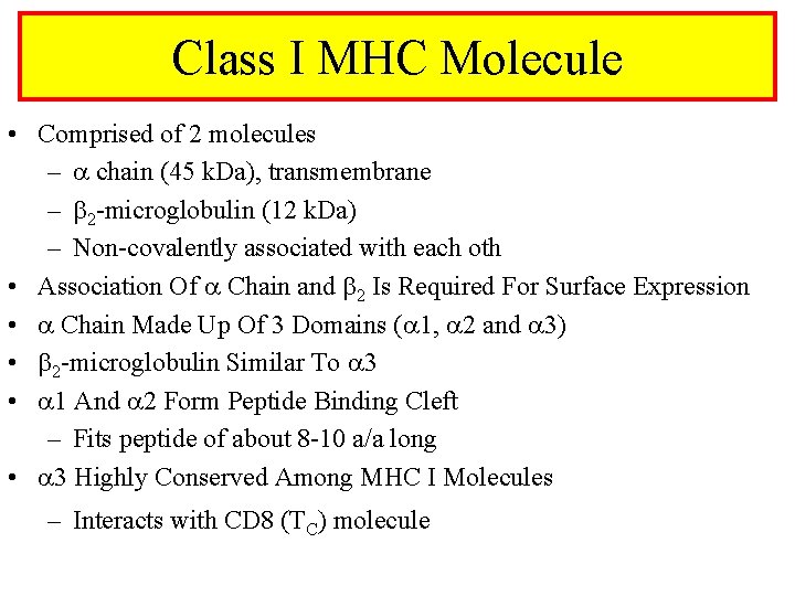 Class I MHC Molecule • Comprised of 2 molecules – chain (45 k. Da),