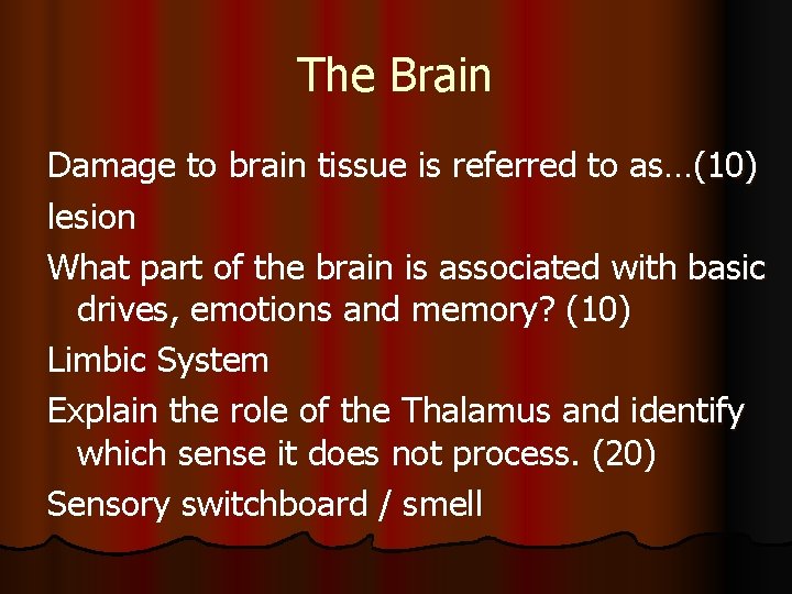 The Brain Damage to brain tissue is referred to as…(10) lesion What part of