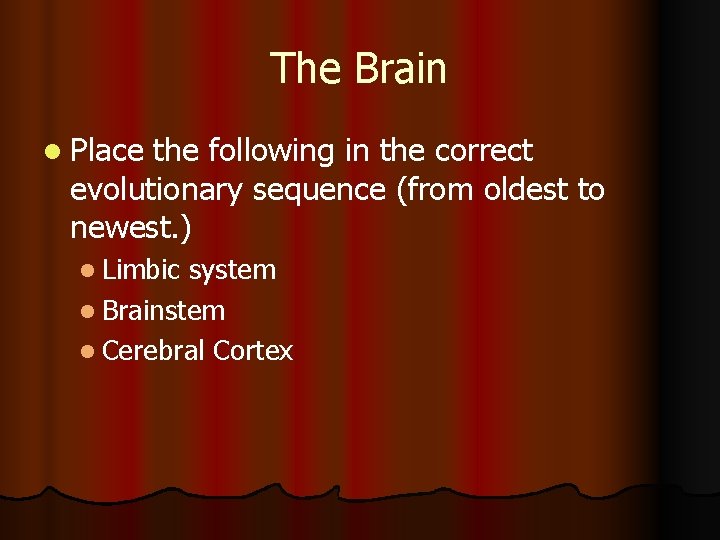 The Brain l Place the following in the correct evolutionary sequence (from oldest to