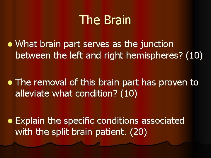 The Brain l What brain part serves as the junction between the left and