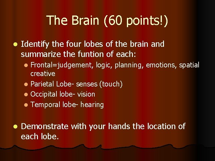 The Brain (60 points!) l Identify the four lobes of the brain and summarize