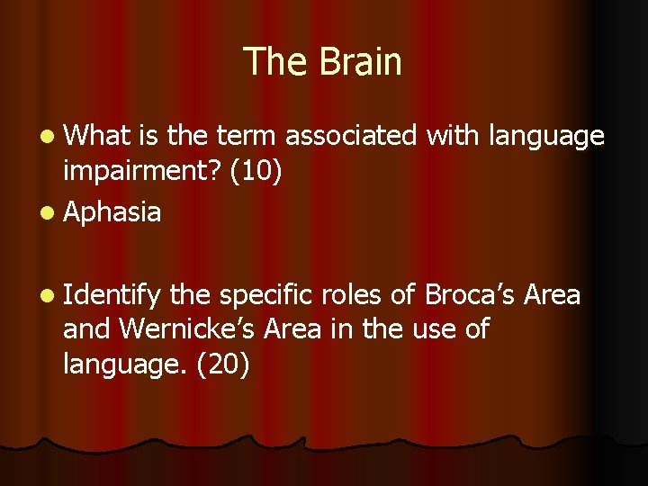 The Brain l What is the term associated with language impairment? (10) l Aphasia