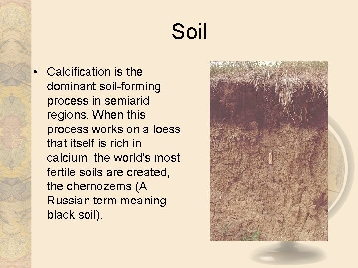 Soil • Calcification is the dominant soil-forming process in semiarid regions. When this process