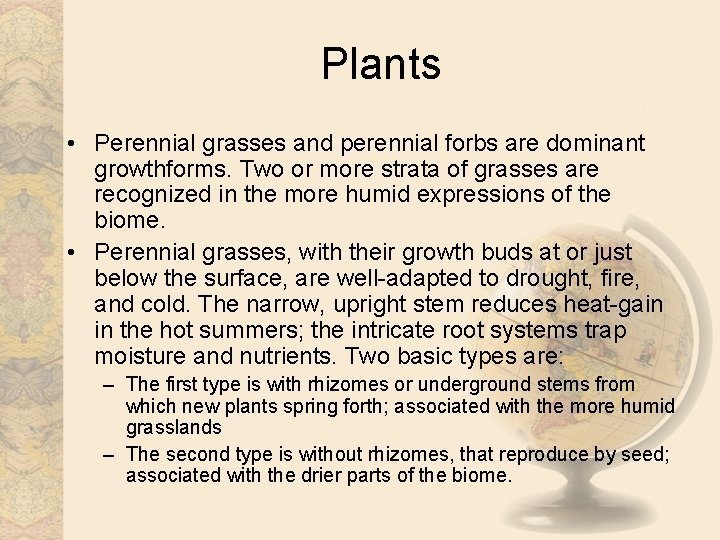 Plants • Perennial grasses and perennial forbs are dominant growthforms. Two or more strata