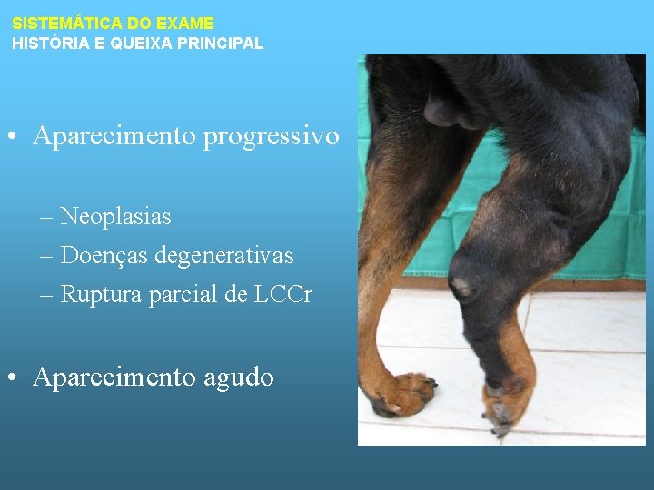 SISTEMÁTICA DO EXAME HISTÓRIA E QUEIXA PRINCIPAL • Aparecimento progressivo – Neoplasias – Doenças