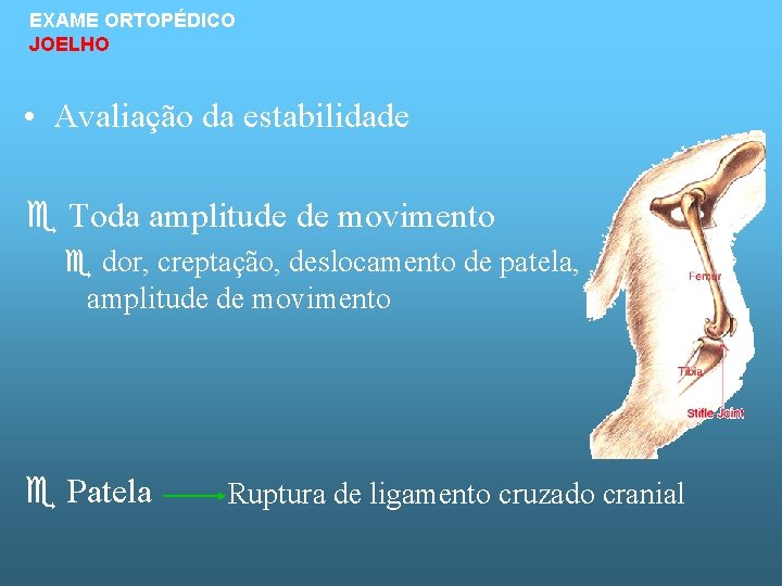 EXAME ORTOPÉDICO JOELHO • Avaliação da estabilidade Toda amplitude de movimento dor, creptação, deslocamento