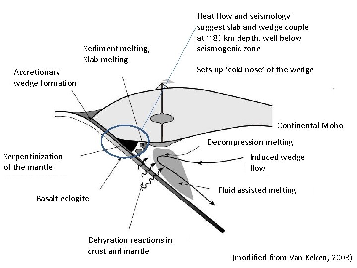 Sediment melting, Slab melting Accretionary wedge formation Heat flow and seismology suggest slab and