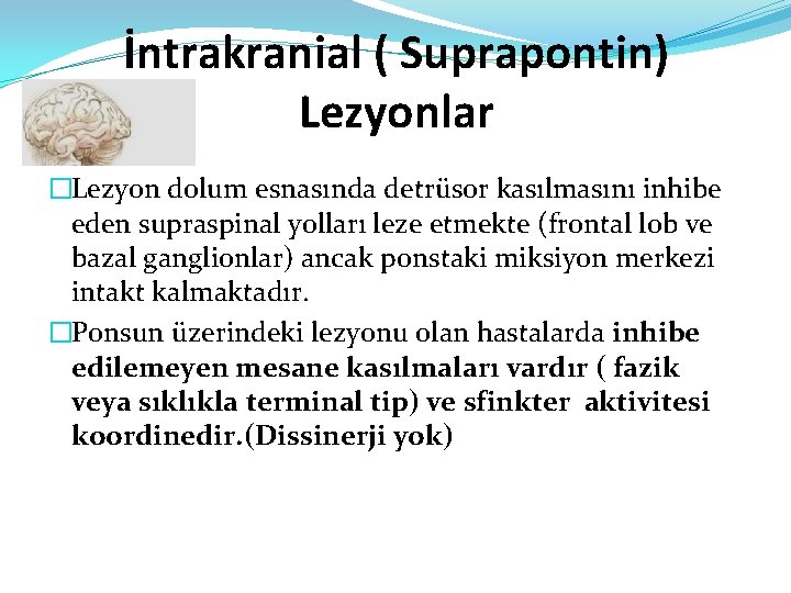 İntrakranial ( Suprapontin) Lezyonlar �Lezyon dolum esnasında detrüsor kasılmasını inhibe eden supraspinal yolları leze