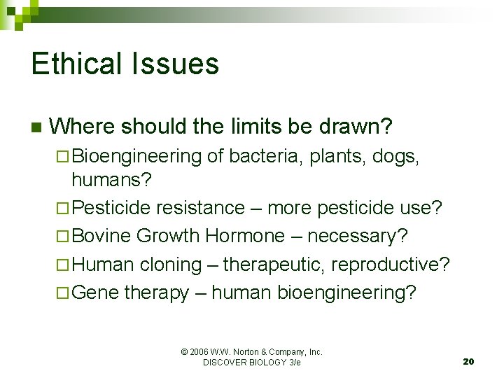 Ethical Issues n Where should the limits be drawn? ¨ Bioengineering of bacteria, plants,