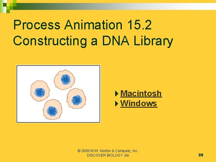 Process Animation 15. 2 Constructing a DNA Library Macintosh Windows © 2006 W. W.